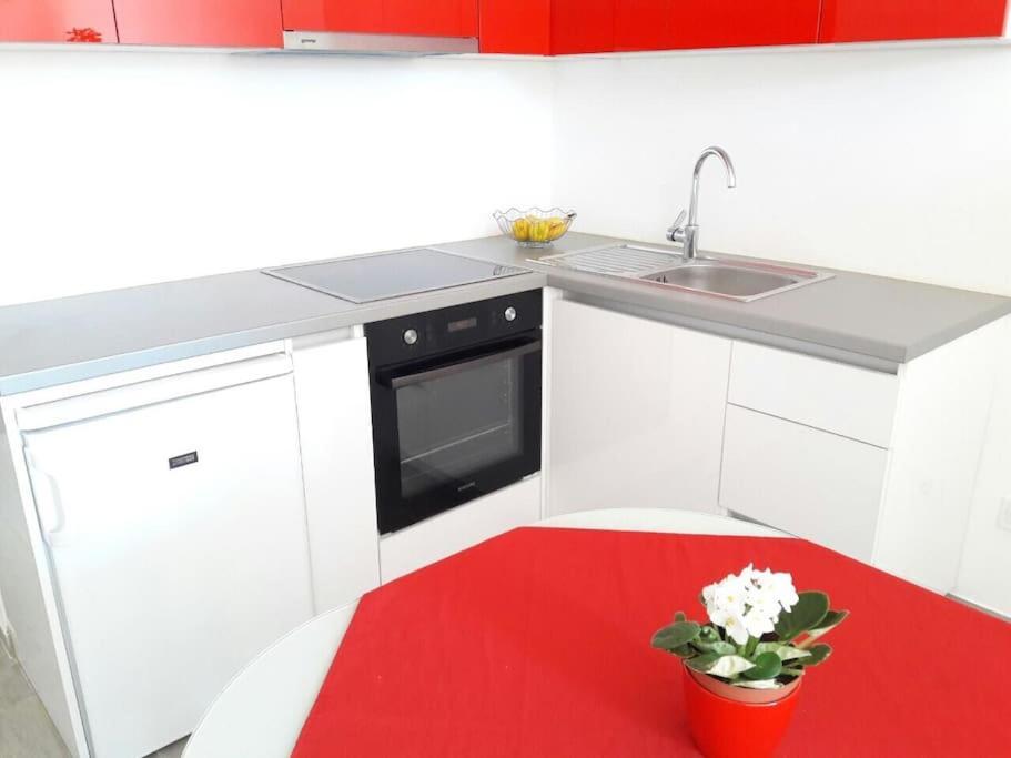 Studio Apartment Ivana - New Sweet Apartment 杜布罗夫尼克 外观 照片