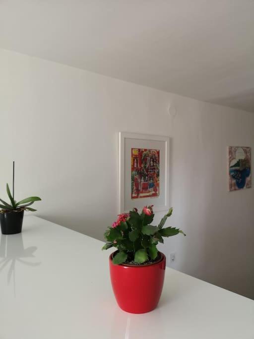 Studio Apartment Ivana - New Sweet Apartment 杜布罗夫尼克 外观 照片